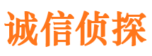 惠济市婚姻调查